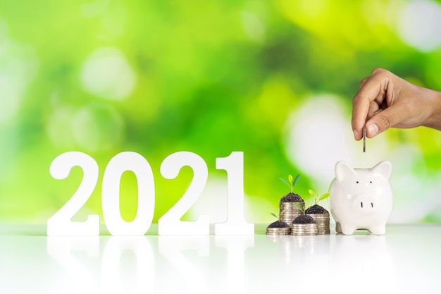 2021 oszczędność wzrostu i koncepcja inwestycji biznesowych ze skarbonką i zieloną naturą
