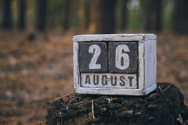 26 sierpnia letni drewniany kalendarz z datą i miesiącem w leśnym dniu równości kobiet