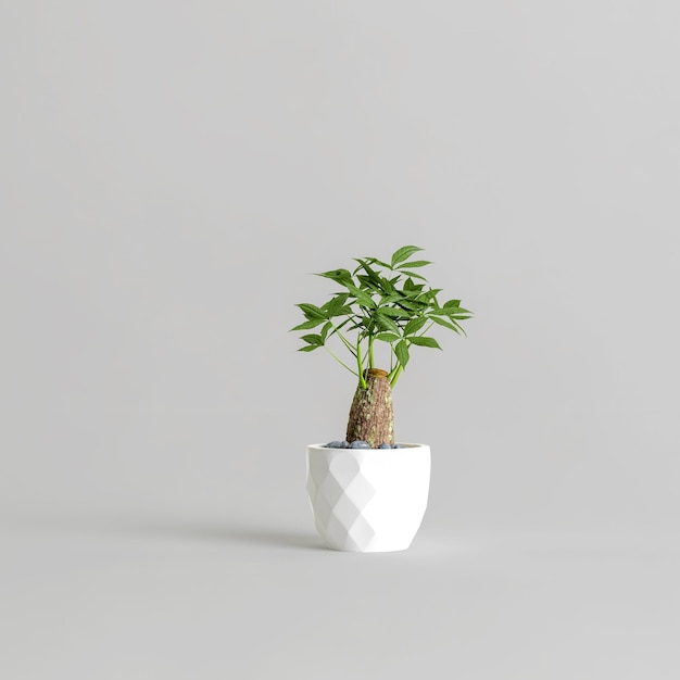 3d ilustracja drzewa bonsai na białym tle