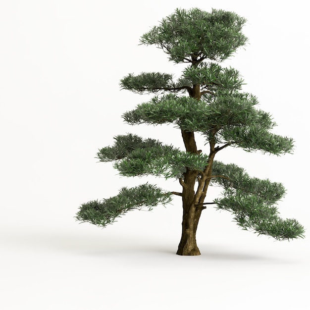 3d Ilustracja Dużego Drzewa Bonsai Na Białym Tle