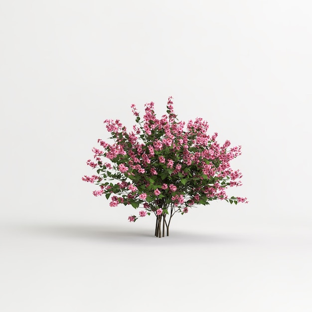 3d ilustracja krzewu i kwiatu na białym tle