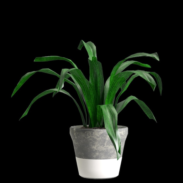 3D ilustracja rośliny doniczkowe na białym tle na czarnym tle