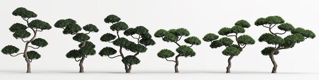 3d Ilustracja Zestawu Bonsai Ilex Cornuta Na Białym Tle I Jego Maska