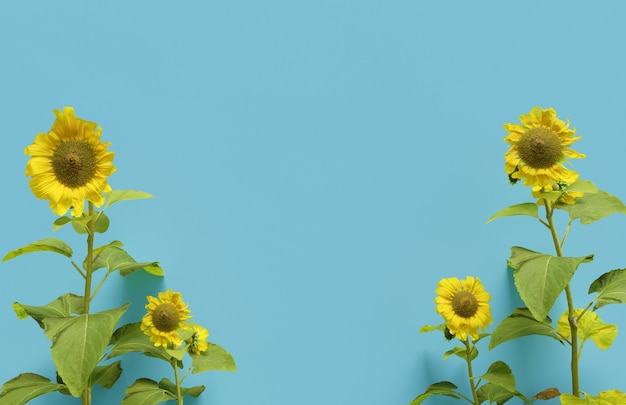 Zdjęcie 3d realistyczne renderowanie słonecznika na niebieskim tle szczęścia uczucie