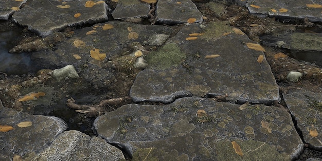 3D Realistyczny brud mokre kałuże brukowiec ziemi renderowany obraz tła tekstury