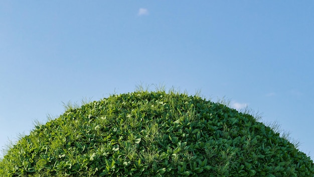3D render zielonego wzgórza trawy z małymi kwiatami i błękitnym niebem