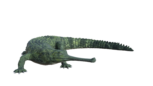 3d renderowanie rekina na zielonym tle