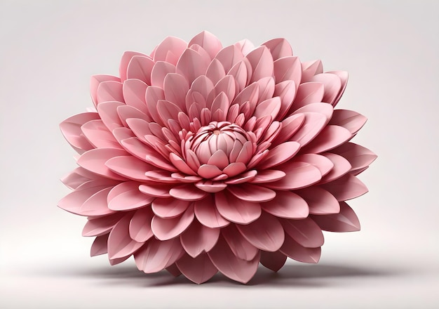 3d różowy kwiat izolowany na przezroczystym