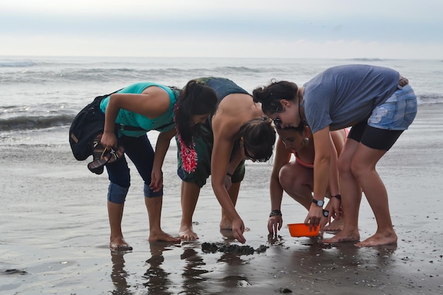 4 kobiety szukają kamieni muszle emerita analoga na brzegu plaży o zachodzie słońca