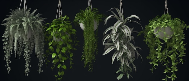5 kolorowych wiszących roślin o unikalnych liściach, idealnych do dekoracji wnętrz