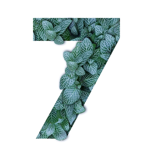 Zdjęcie abecadło pojęcie natura zieleni liść w liczba siedem kształcie