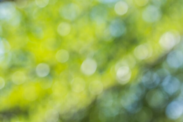 Abstrakcjonistyczny bokeh i zamazany kolorowy natury tło