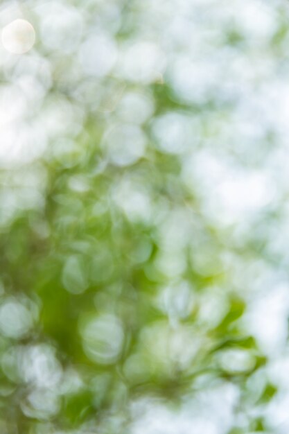 Zdjęcie abstrakcjonistyczny bokeh i zamazany zielony natury tło