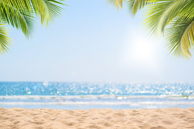 Zdjęcie abstrakcjonistyczny seascape z drzewkiem palmowym, tropikalny plażowy tło.