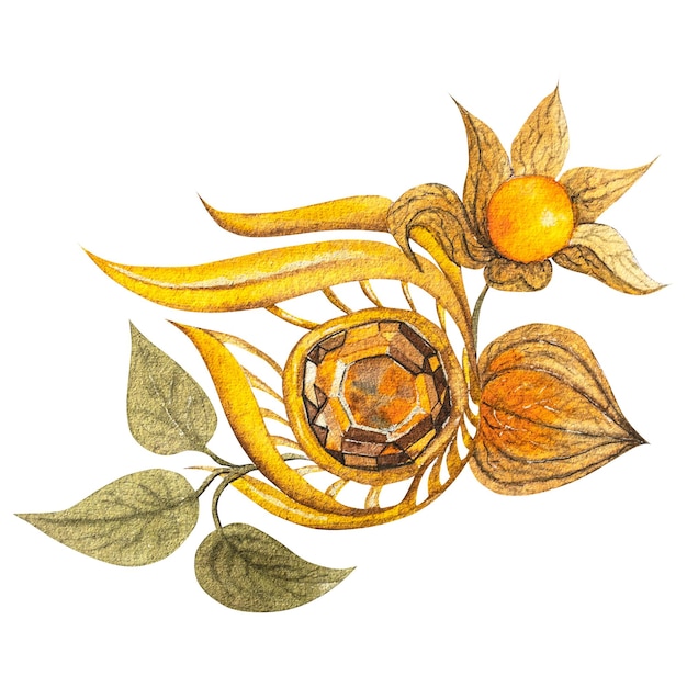 Abstrakcyjna ilustracja akwarelowa jesiennych jagód physalis i złotej broszy Ręcznie narysowana