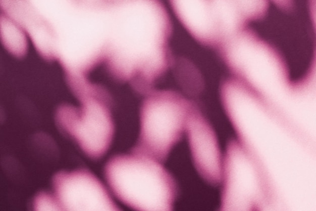 Abstrakcyjna sztuka botaniczna nakładka cieni na rumieniec różowym tle na wakacje luksus i vintage flatlay design