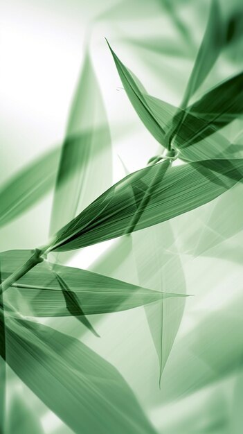 Zdjęcie abstrakcyjne białe zielone liście bambusa na miękkim tle