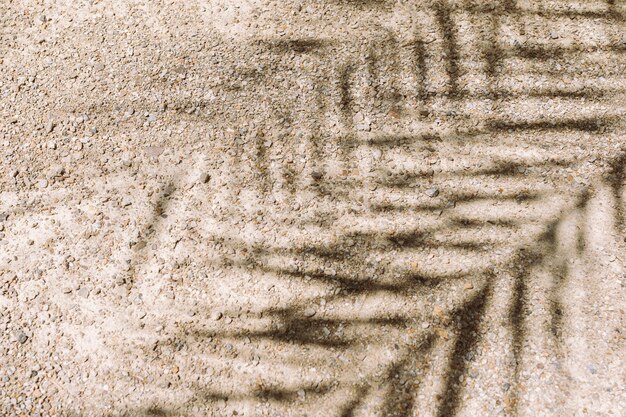 Abstrakcyjne cienie liści palmowych na fakturze skalistego podłoża plaży