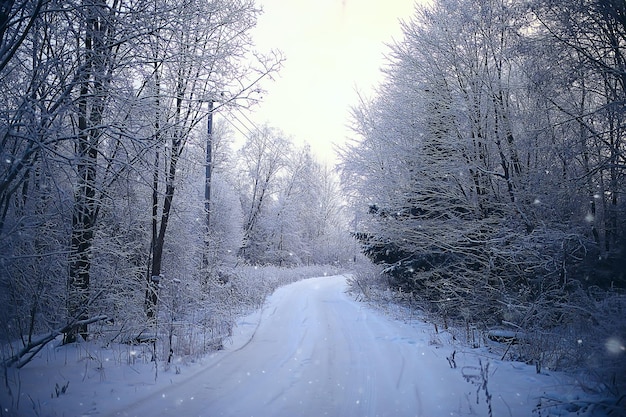abstrakcyjne tło krajobraz zimowy las / oszronione gałęzie drzew, śnieżna pogoda boże narodzenie w tle