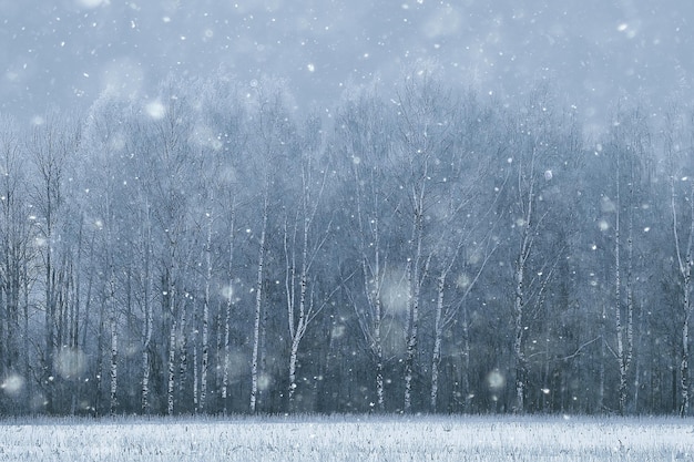 abstrakcyjne tło lasu opadów śniegu, białe płatki śniegu spadają w leśnym krajobrazie, tło bożego narodzenia