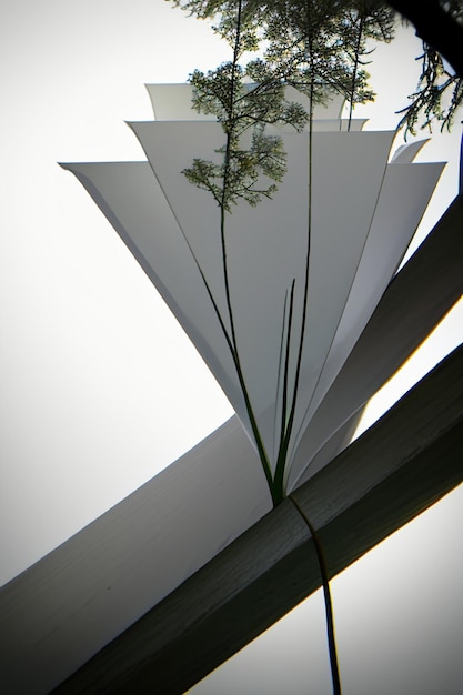 Abstrakcyjny kształt projektu kwiaty gałęzie winorośl tapety tło elementy ilustracji