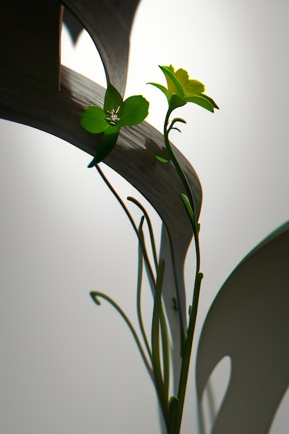 Zdjęcie abstrakcyjny kształt projektu kwiaty gałęzie winorośl tapety tło elementy ilustracji