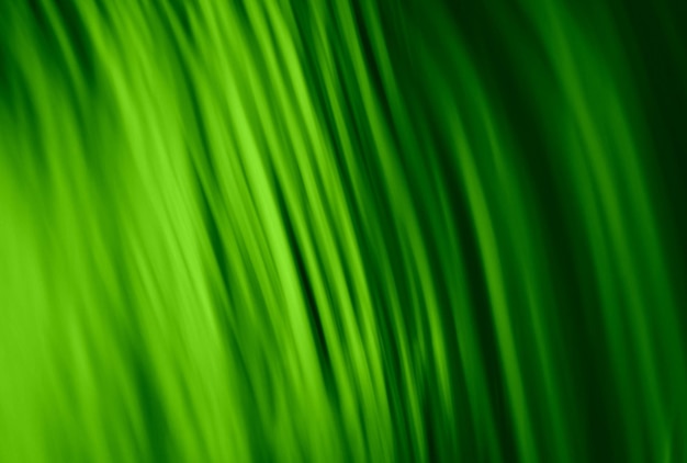 Zdjęcie abstrakcyjny projekt tła hd maksymalny kolor zielony