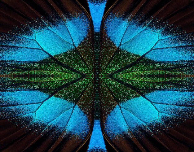 Zdjęcie abstrakcyjny symetryczny ornament abstrakcyjny wzór z skrzydeł tropikalnych motyli