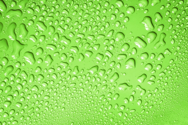 Abstrakt wody kropla na powierzchni świeży zielony tło