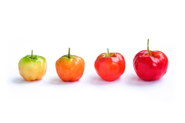 Acerola wiśnia z Tajlandii, wiśnia Barbados