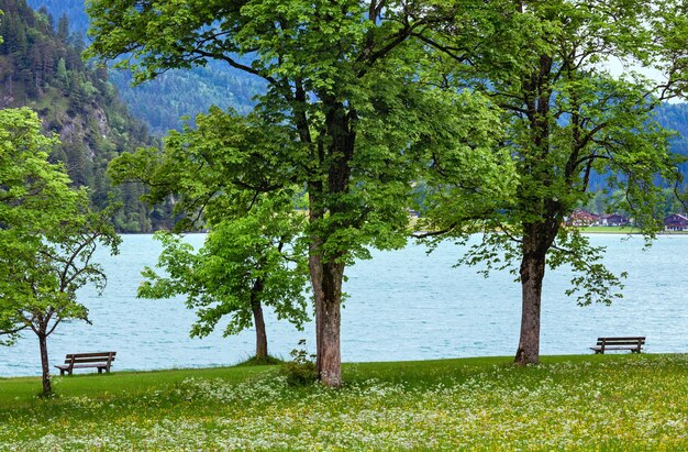 Achensee (jezioro Achen) Letni Krajobraz Z Kwitnącą łąką I ławką Na Brzegu (austria)