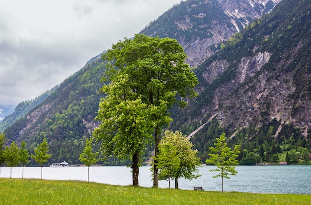 Achensee (jezioro Achen) Letni Krajobraz Z Zieloną łąką I Drewnianą ławką Na Brzegu (austria)