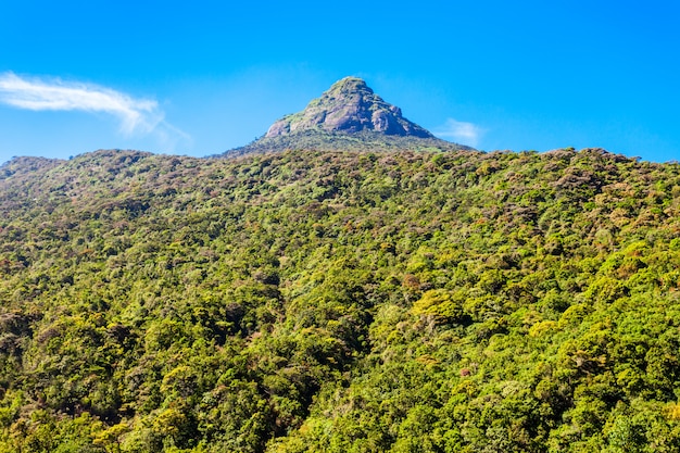 Zdjęcie adams peak, sri lanka