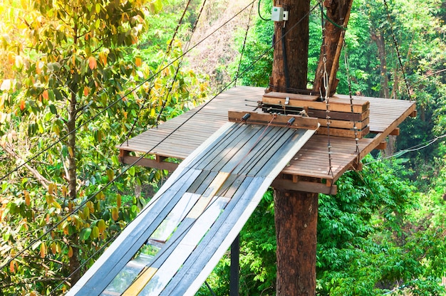 Adventure Park Mosty, Liny I Schody Przeznaczone Dla Początkujących W Lesie Wśród Wysokich Drzew. Przygoda Wspinaczkowa W Parku Przewodowym. Przebieg Wysokich Lin W Lesie. Zipline Activity Sporty Ekstremalne