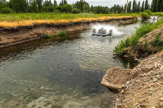 Aeratory wzbogacanie w tlen sprzęt akwakultury produkcja ryb