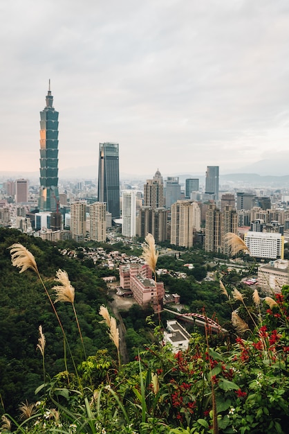 Aerial Panorama Nad Downtown Taipei Z Taipei 101 Wieżowiec Z Drzewami Na Górze I Kwiaty Trawy Na Pierwszym Planie W Zmierzchu Z Xiangshan (mountain Elephant).