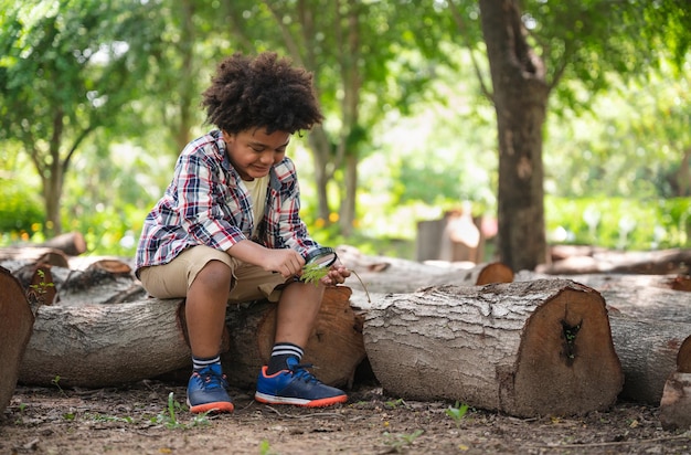 Afroamerykański chłopiec odkrywa las z lupą