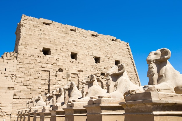 Afryka Egipt Świątynia Luxor Karnak