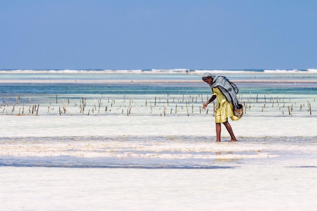 Zdjęcie afrykańska dziewczyna chodzi po wodzie w pobliżu plaży. zanzibar