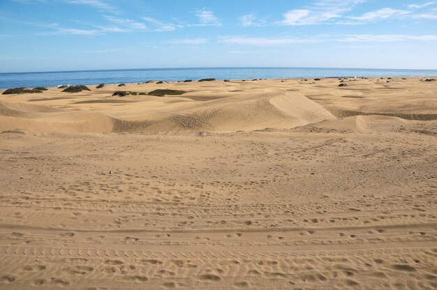 Afrykański krajobraz pustyni wydmowych na wyspie Gran Canaria w Hiszpanii