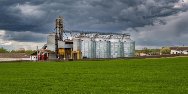 Agro silos spichlerz elewator na zakładzie przetwórstwa rolno-przetwórczego do przetwórstwa suszenie czyszczenie i przechowywanie produktów rolnych mąka zboża i zboża