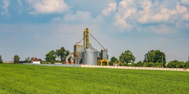 Agro silos spichlerz elewator na zakładzie przetwórstwa rolno-przetwórczego do przetwórstwa suszenie czyszczenie i przechowywanie produktów rolnych mąka zboża i zboża