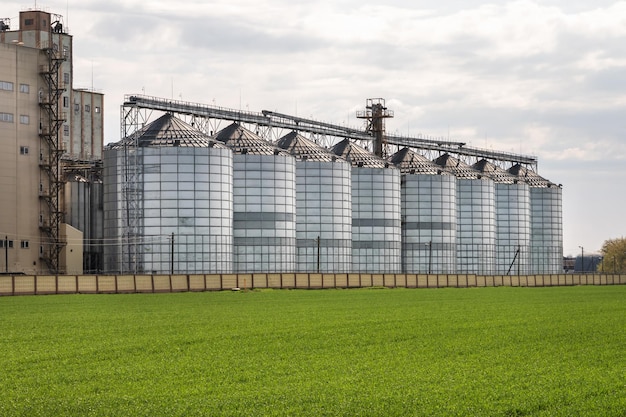 Agro silos spichlerz elewator na zakładzie przetwórstwa rolno-przetwórczego do przetwórstwa suszenie czyszczenie i przechowywanie produktów rolnych mąka zboża i zboża