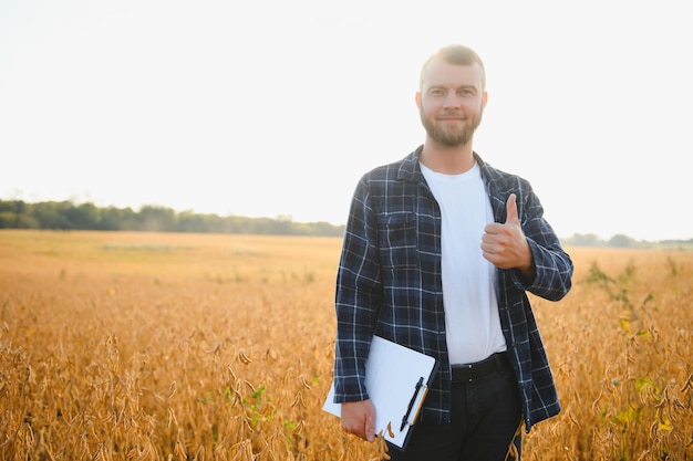 Agronom bada uprawy soi na polu rolniczym Koncepcja produkcji rolniczej Młody agronom bada uprawę soi na polu Rolnik na polu soi