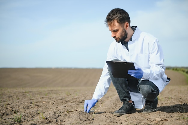 Agronom badający próbki gleby w terenie