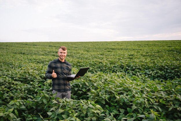 Agronom kontrolujący uprawy soi na polu. Koncepcja produkcji rolnictwa. młody agronom bada uprawę soi na polu w lecie. Rolnik na polu soi