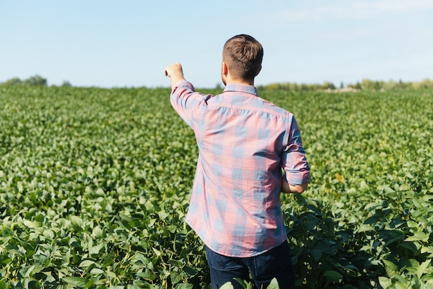 Agronom Lub Rolnik Badający Uprawę Pola Soi