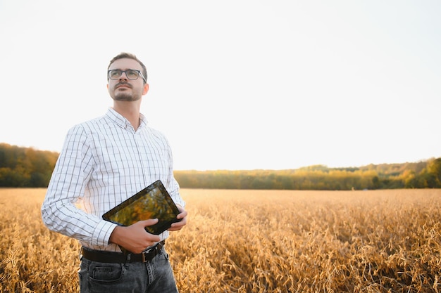 Agronom lub rolnik badający uprawę pola soi