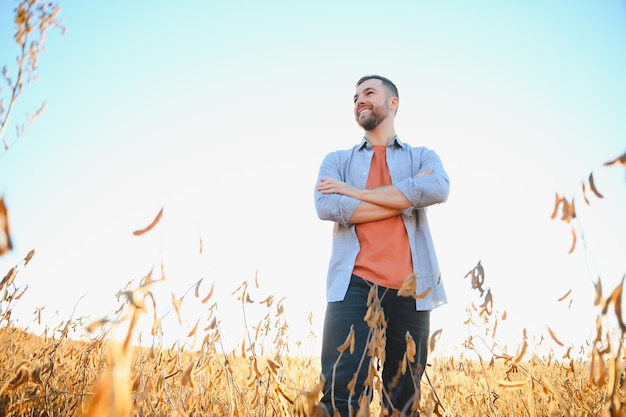 Agronom lub rolnik badający uprawę pola soi