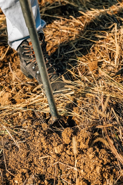 Zdjęcie agronom pobierający próbki gleby pobiera próbki za pomocą próbki z sondą gleby